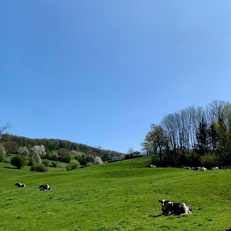 Hoeve Beusdalshof Hotel Ingber Esterno foto