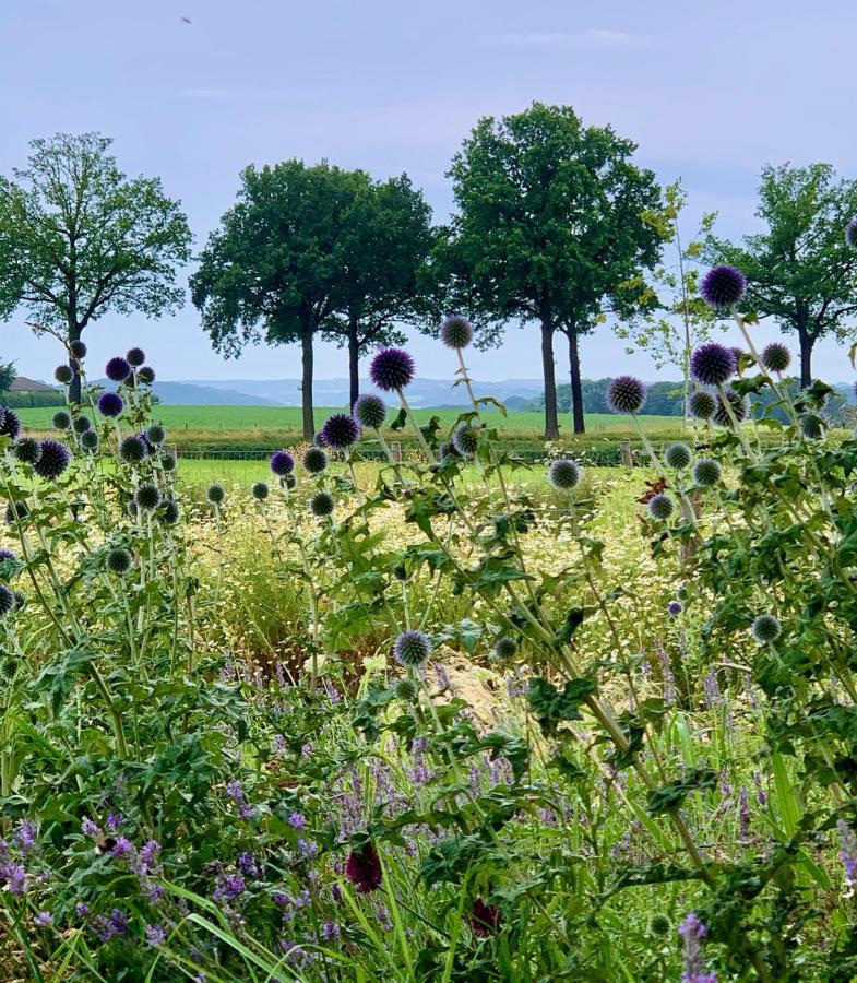 Hoeve Beusdalshof Hotel Ingber Esterno foto