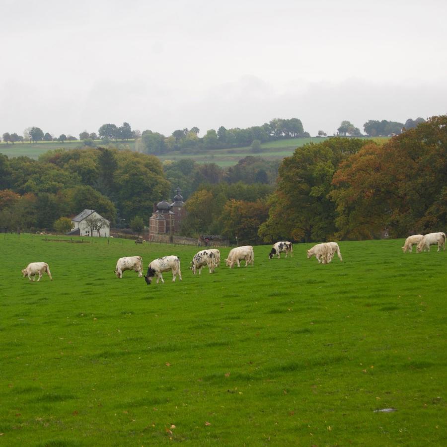 Hoeve Beusdalshof Hotel Ingber Esterno foto